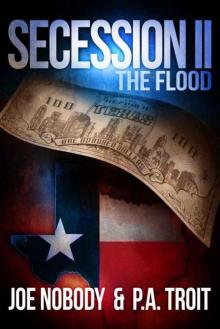 Secession II: The Flood Read online