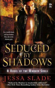 Seduced by Shadows ms-1 Read online