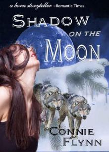 Shadow on the Moon Read online
