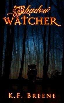 Shadow Watcher (Darkness #6)
