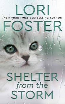 Shelter from the Storm Read online