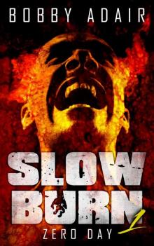 Slow Burn: Zero Day, Book 1 Read online