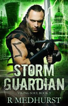 Storm Guardian: Viking Soul Book 3 Read online