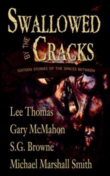 Swallowed By The Cracks e-Pub