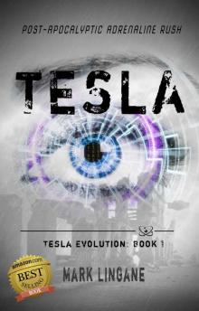 Tesla: A Teen Steampunk/Cyberpunk Adventure (Tesla Evolution Book 1)