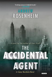The Accidental Agent Read online