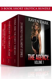 The Agency: Volume 1: (Group Situation, Dominance and Submission, Medical, Law Enforcement, 3-Book Bundle) Read online