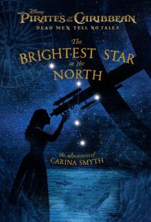The Brightest Star in the North Read online