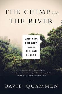 The Chimp and the River: How AIDS Emerged from an African Forest Read online