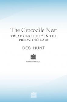The Crocodile Nest Read online