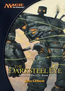 The Darksteel Eye Read online