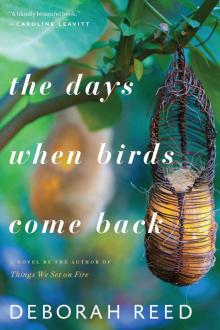 The Days When Birds Come Back Read online