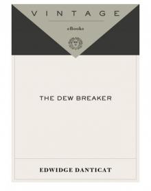 The Dew Breaker Read online