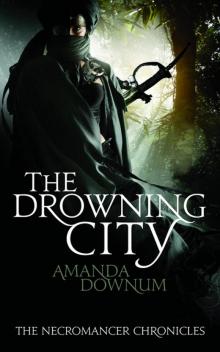The Drowning City: The Necromancer Chronicles Book One Read online