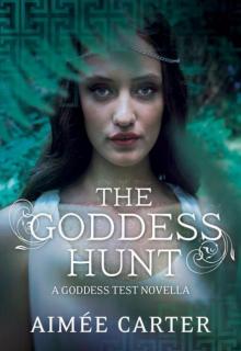 The Goddess Hunt Read online