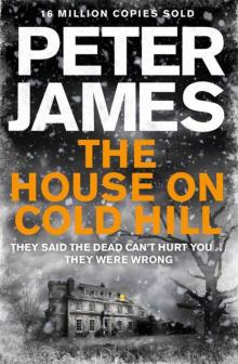 The House on Cold Hill Read online