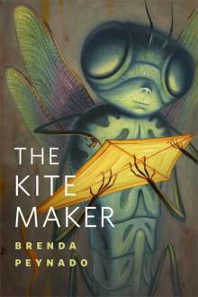 The Kite Maker Read online