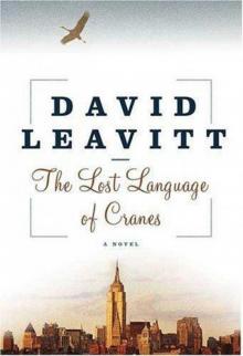 The Lost Language of Cranes: A Novel Read online