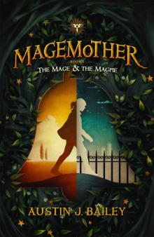 The Mage and the Magpie Read online