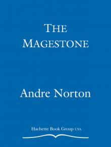 The Magestone Read online