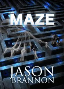The Maze - the Lost Labyrinth Read online