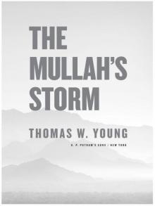 The Mullah's Storm Read online
