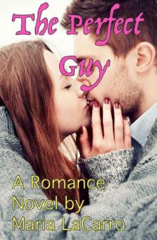 The Perfect Guy: A Romance Novel Read online