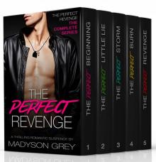 The Perfect Revenge: The Couplete Series