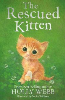 The Rescued Kitten Read online