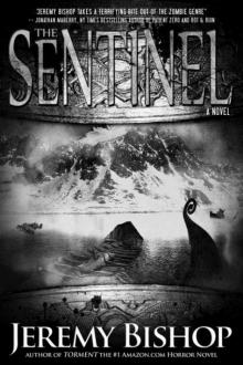 THE SENTINEL (A Jane Harper Horror Novel)