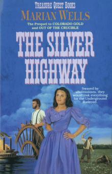 The Silver Highway Read online