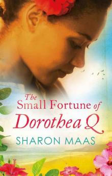 The Small Fortune of Dorothea Q Read online