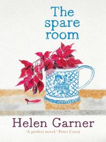 The Spare Room Read online