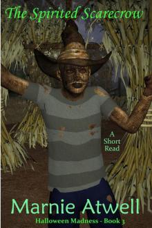 The Spirited Scarecrow