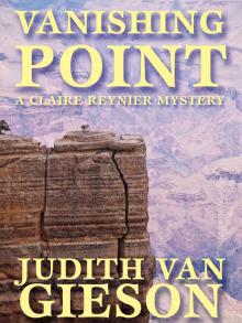 The Vanishing Point Read online