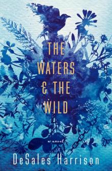 The Waters & the Wild