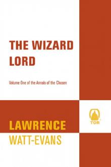 The Wizard Lord Read online