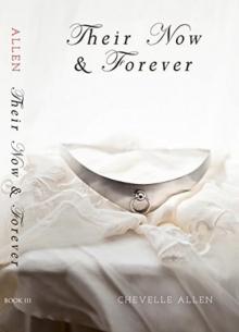Their Now and Forever (Book III) (The Allen Trilogy 3) Read online