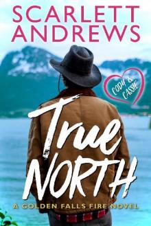 True North (Golden Falls Fire Book 1)