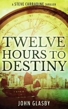 Twelve Hours To Destiny Read online