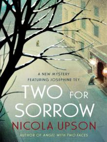Two for Sorrow jt-3 Read online