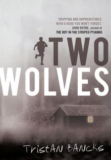 Two Wolves Read online