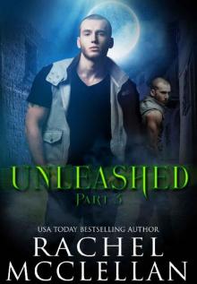 Unleashed: Part 3 (Unleashed Series) Read online
