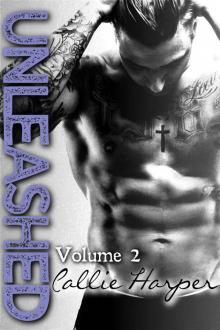 Unleashed: Volume 2 (Unleashed #2) Read online