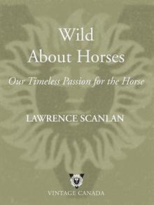 Wild About Horses Read online