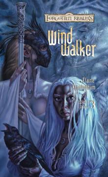 Windwalker Read online