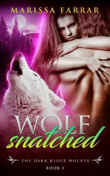 Wolf Snatched: A Dark BBW Shifter Romance (The Dark Ridge Wolves Book 1) Read online