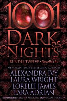 1001 Dark Nights: Bundle Twelve