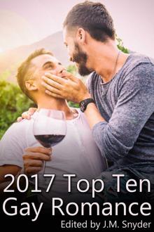 2017 Top Ten Gay Romance Read online