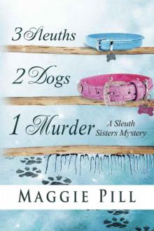 3 Sleuths, 2 Dogs, 1 Murder (The Sleuth Sisters) Read online